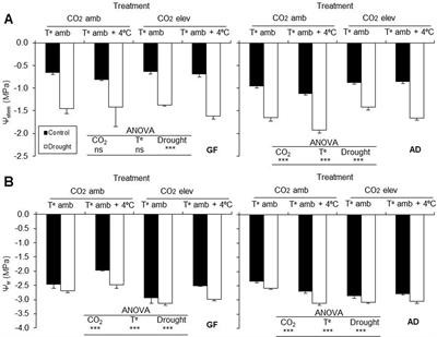 Interactional Effects of Climate Change Factors on the Water Status, Photosynthetic Rate, and Metabolic Regulation in Peach